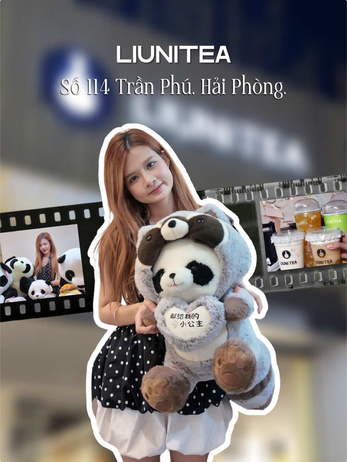 @Hải Ph&ograve;ng Local