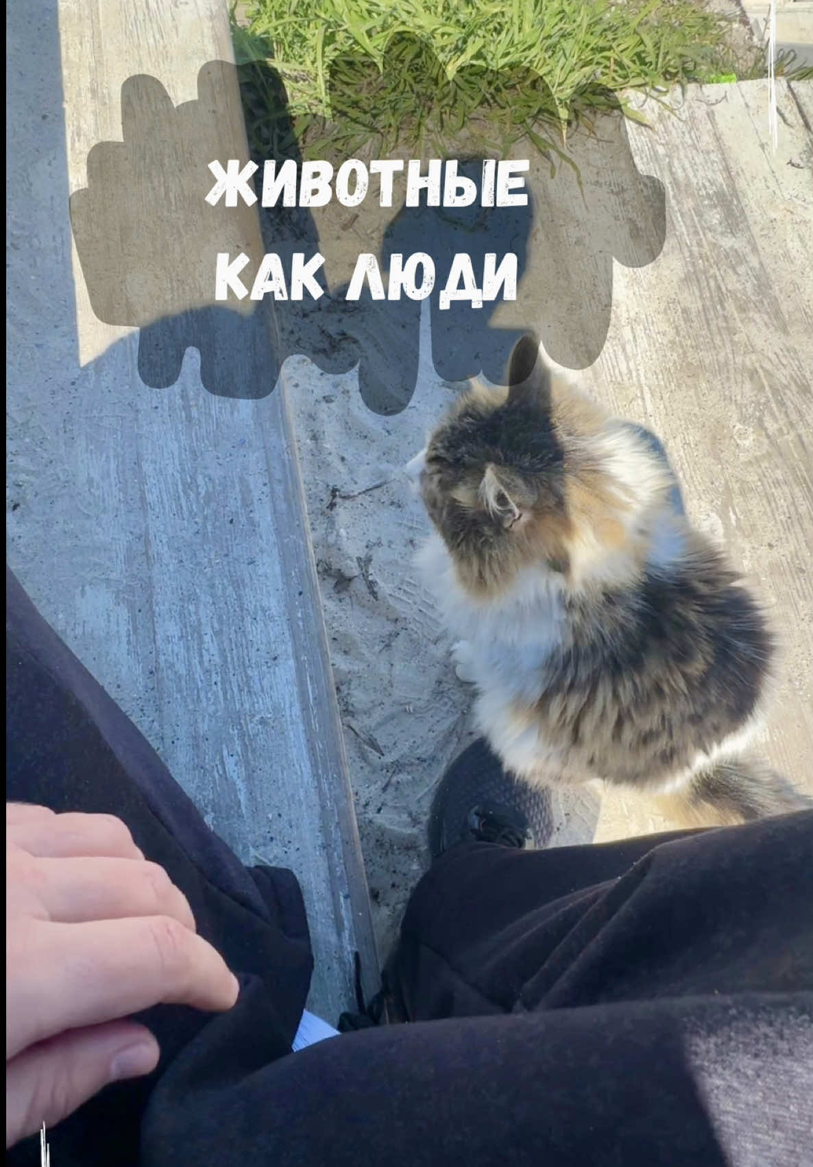 @Александр Юрьевич