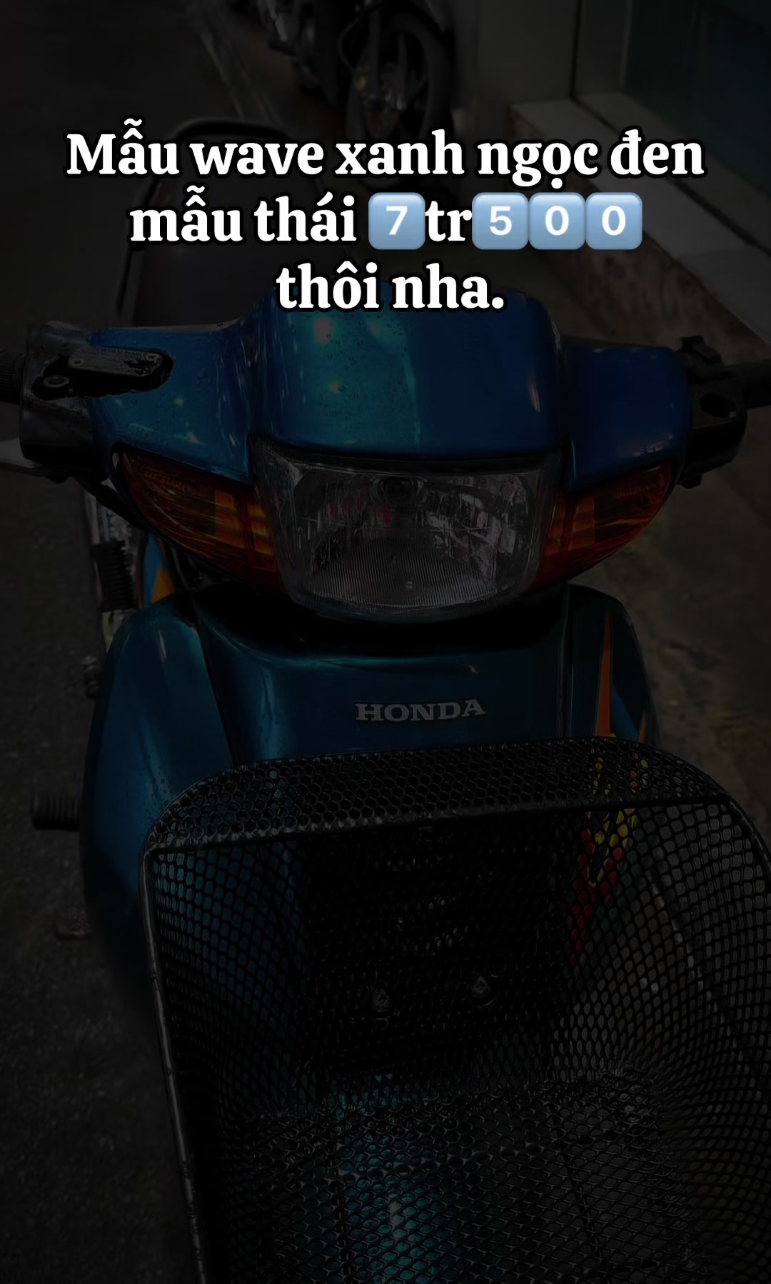 @Minh Huấn Shop ✅