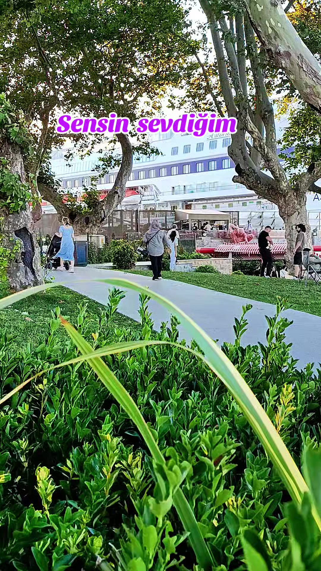 @37 Azdavay Bıyıklı Ali Kemal