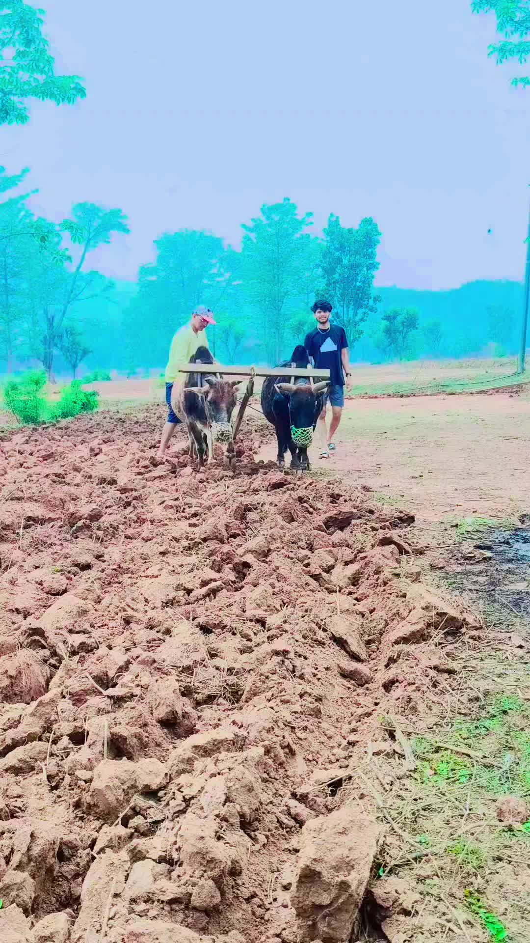 @khatriJanak1234