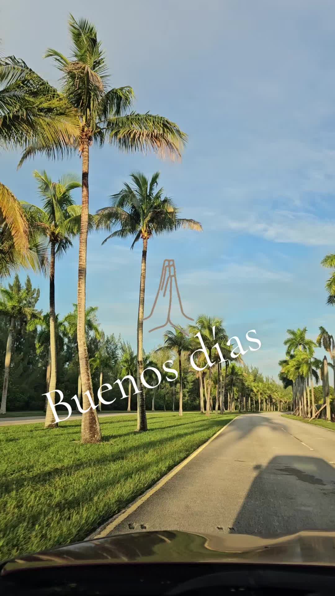 @ANJELICA@