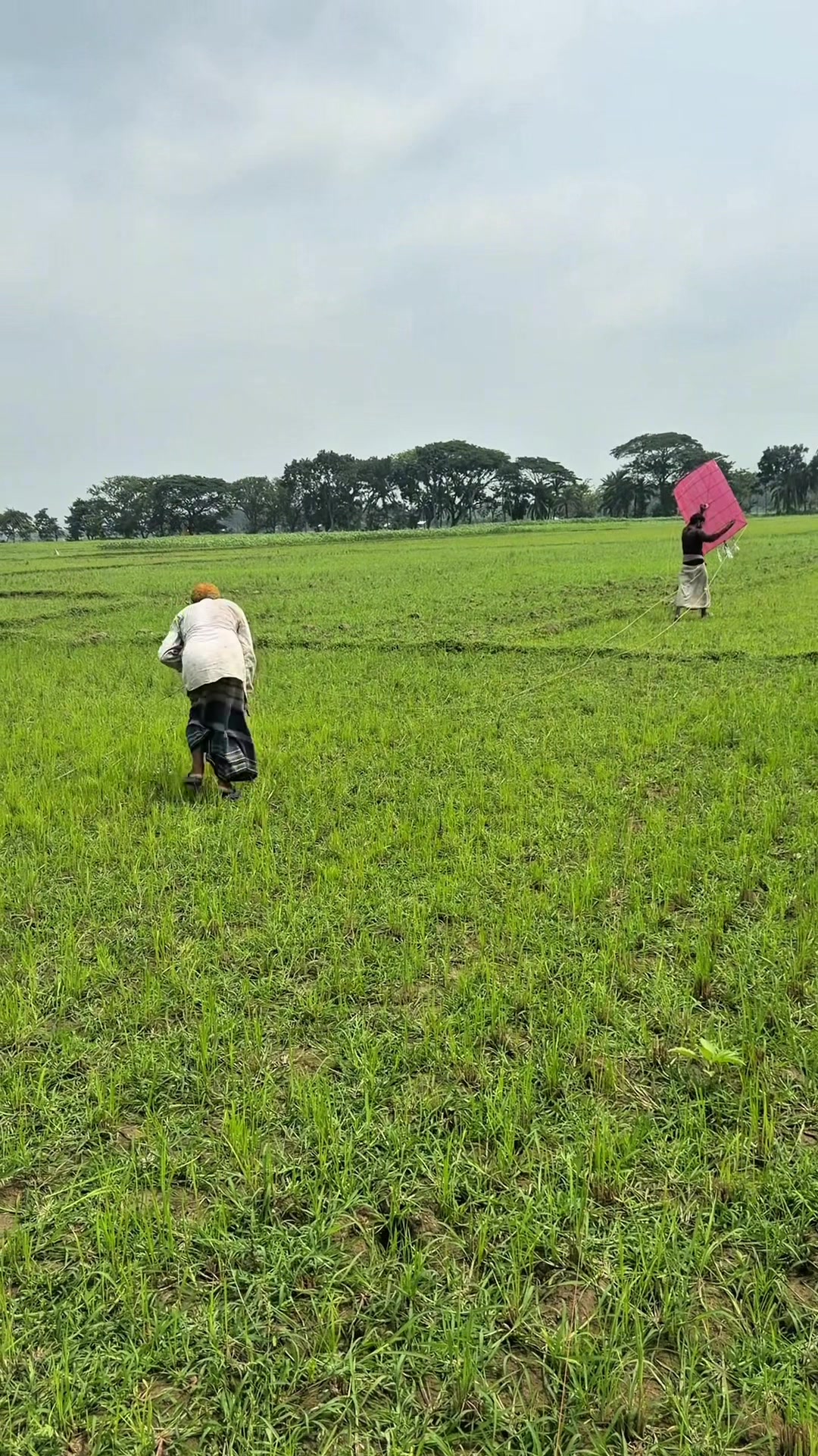 @কৃষি আপডেট