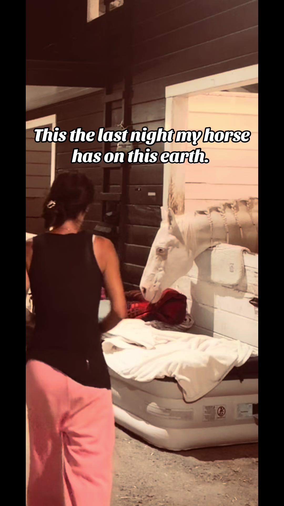 @runswiththeherd
