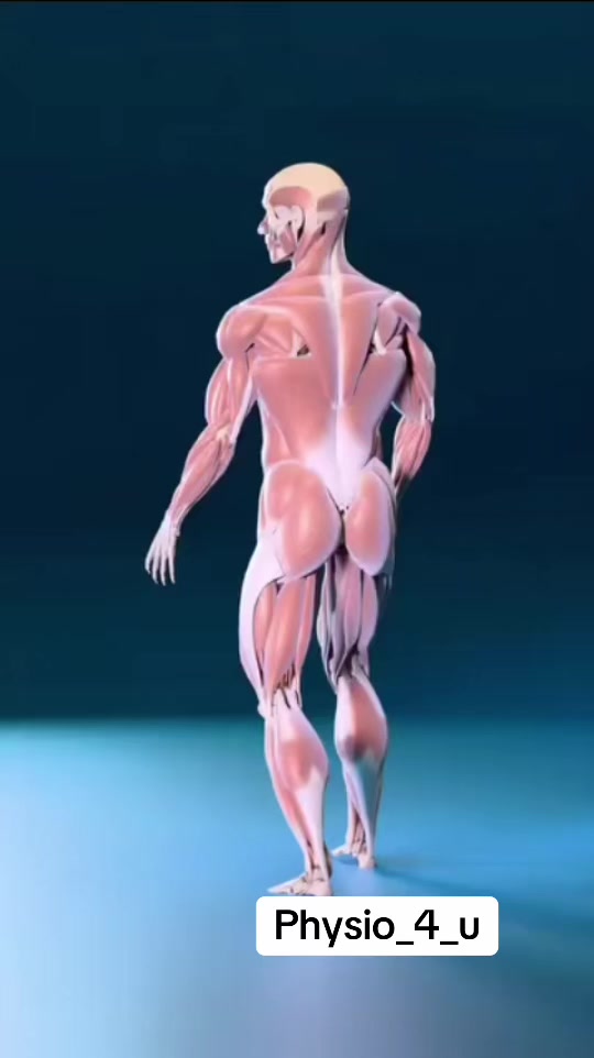 @Physio_4_u