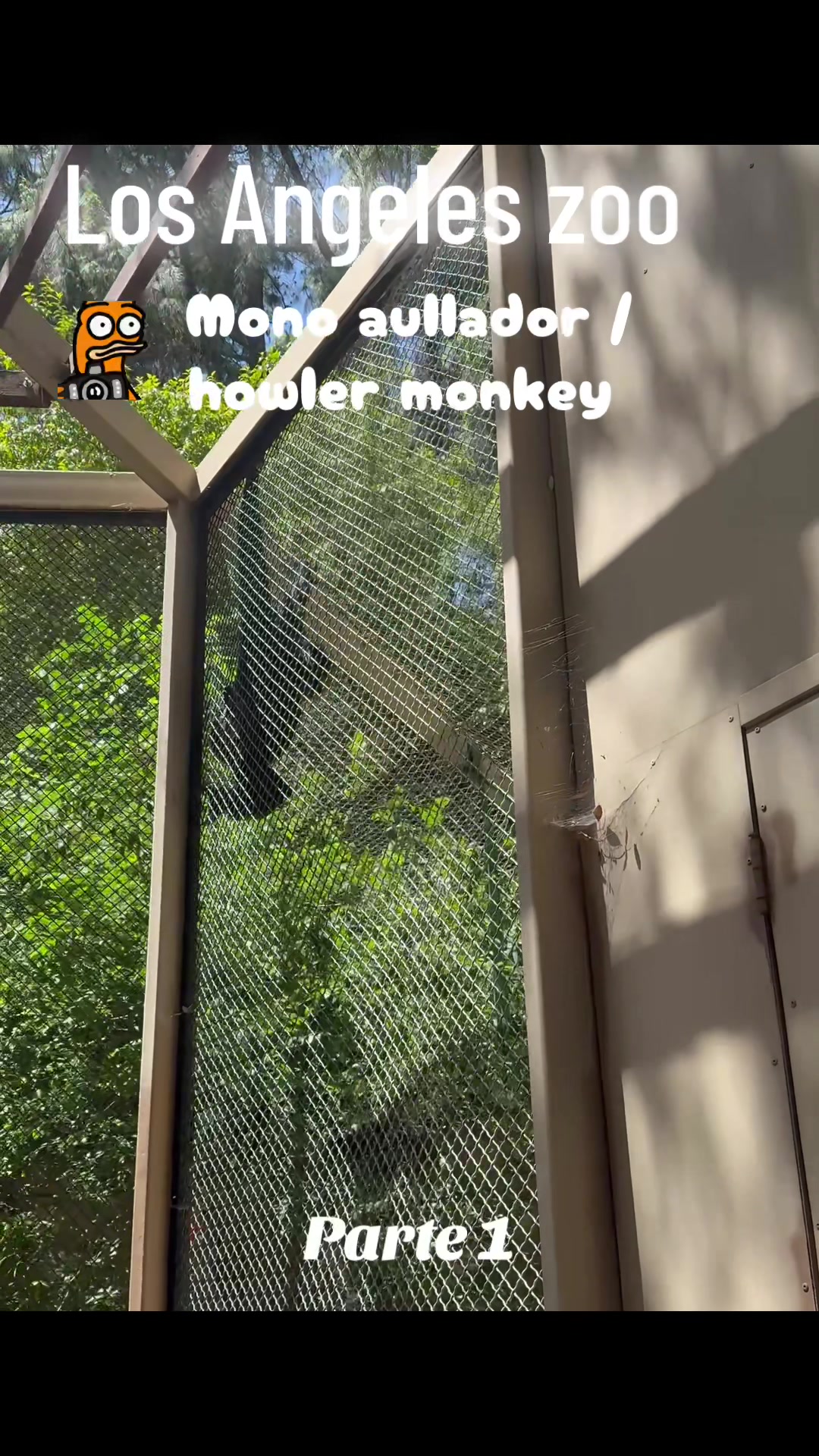 @Alex