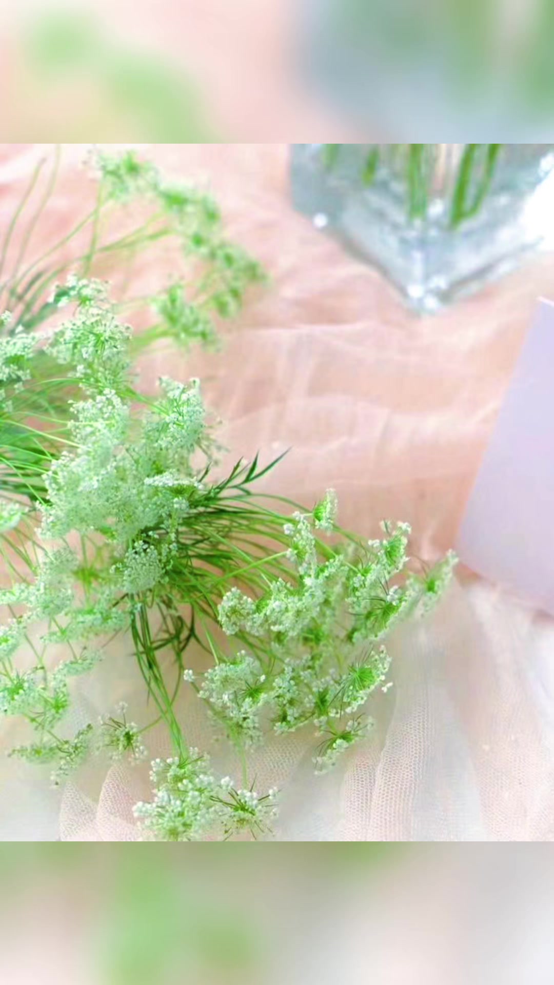 @Changchangtrang flower