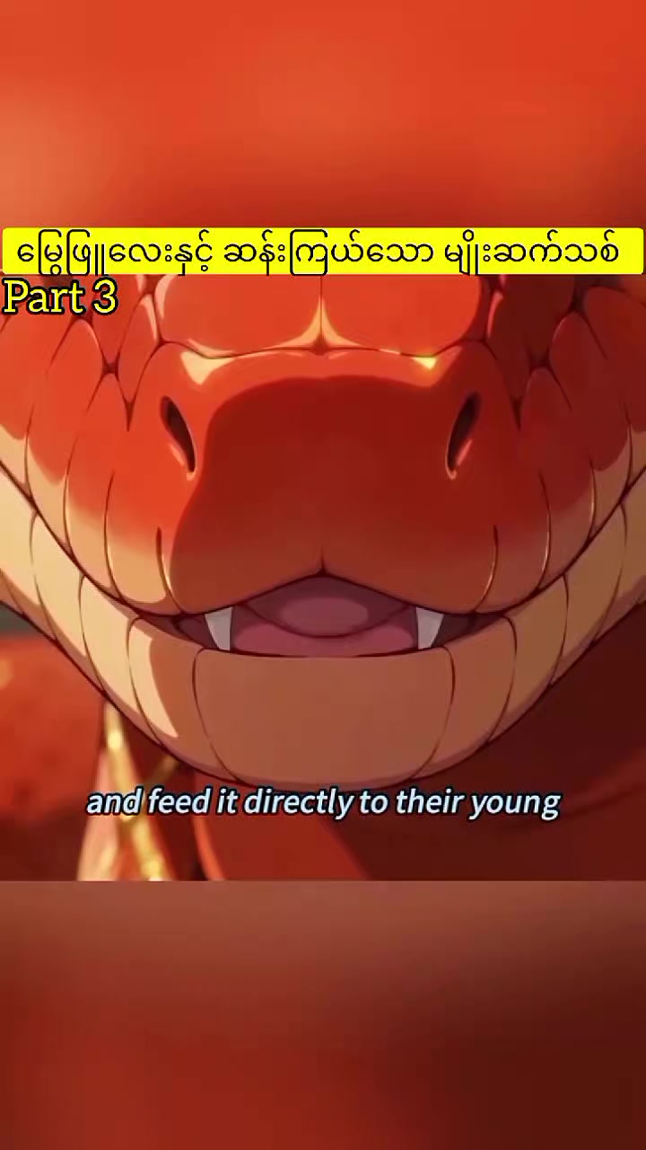 @MR Anime Recap