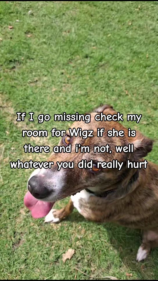 @Wigz