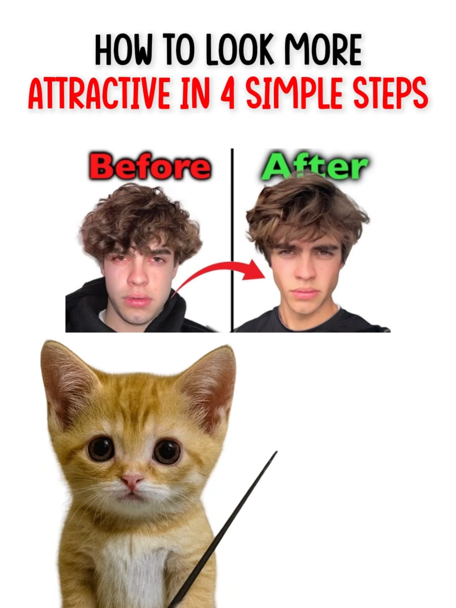 @mrkittyn