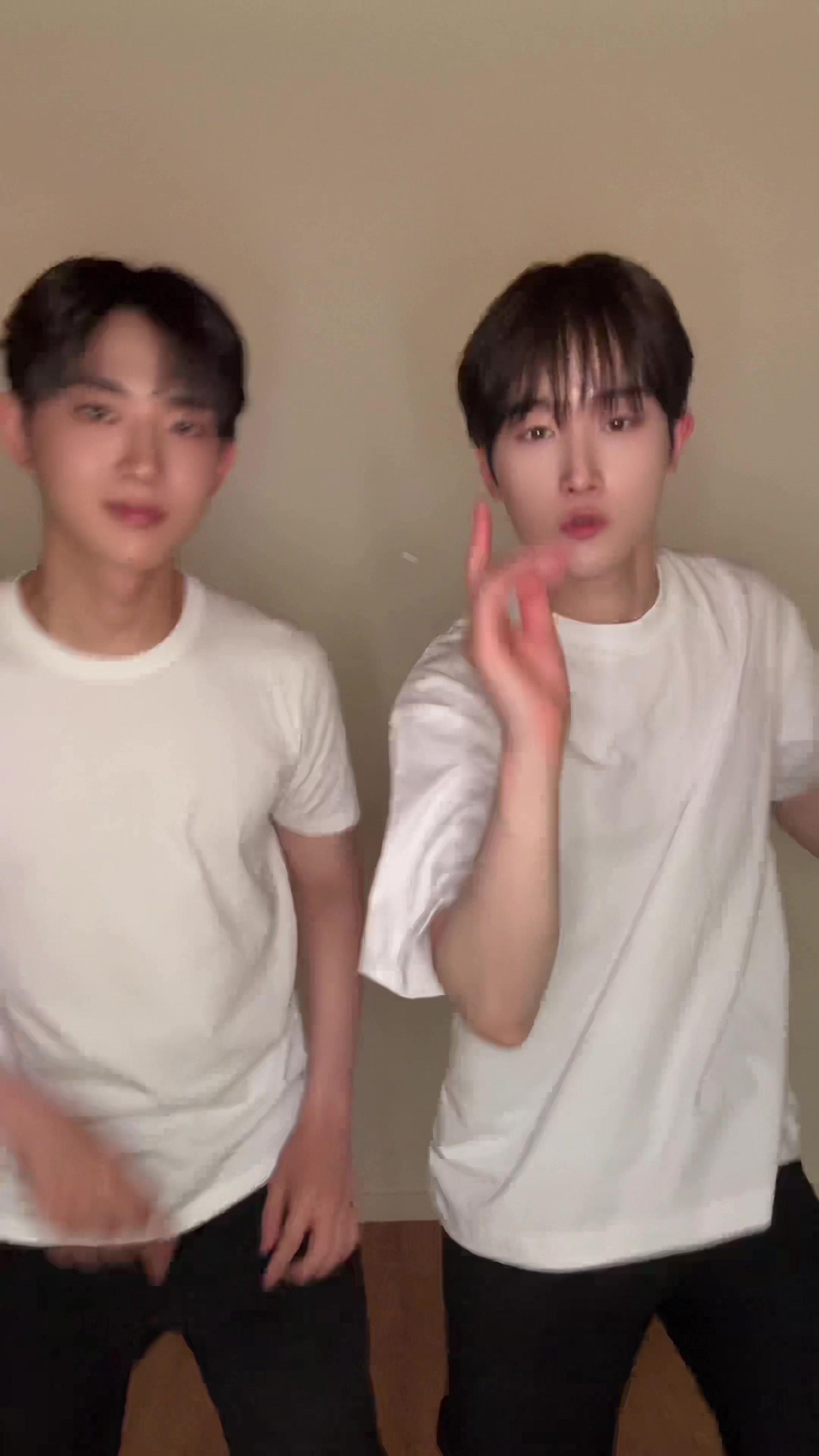 @템페스트(TEMPEST)