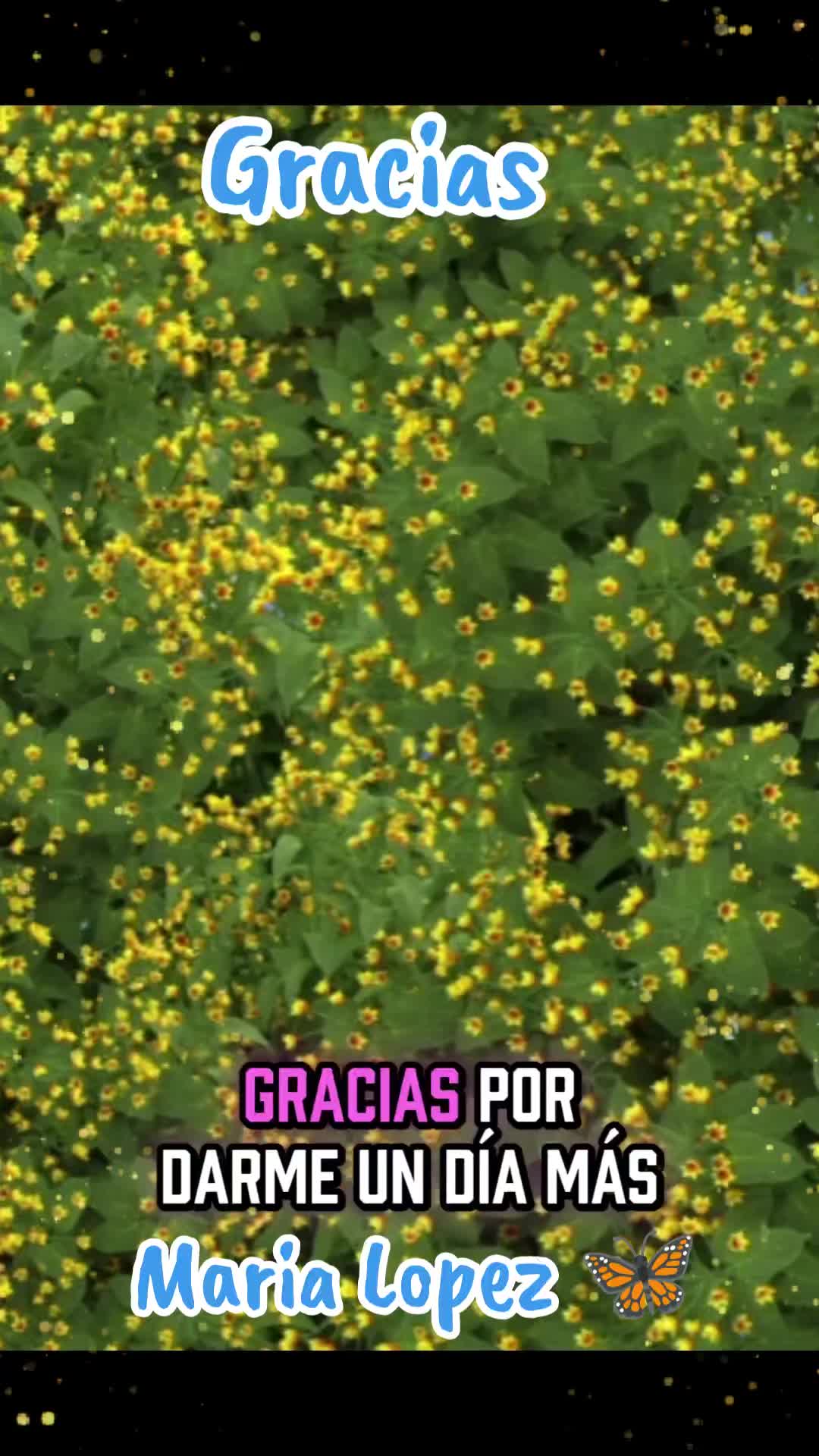 @8Mariposas8