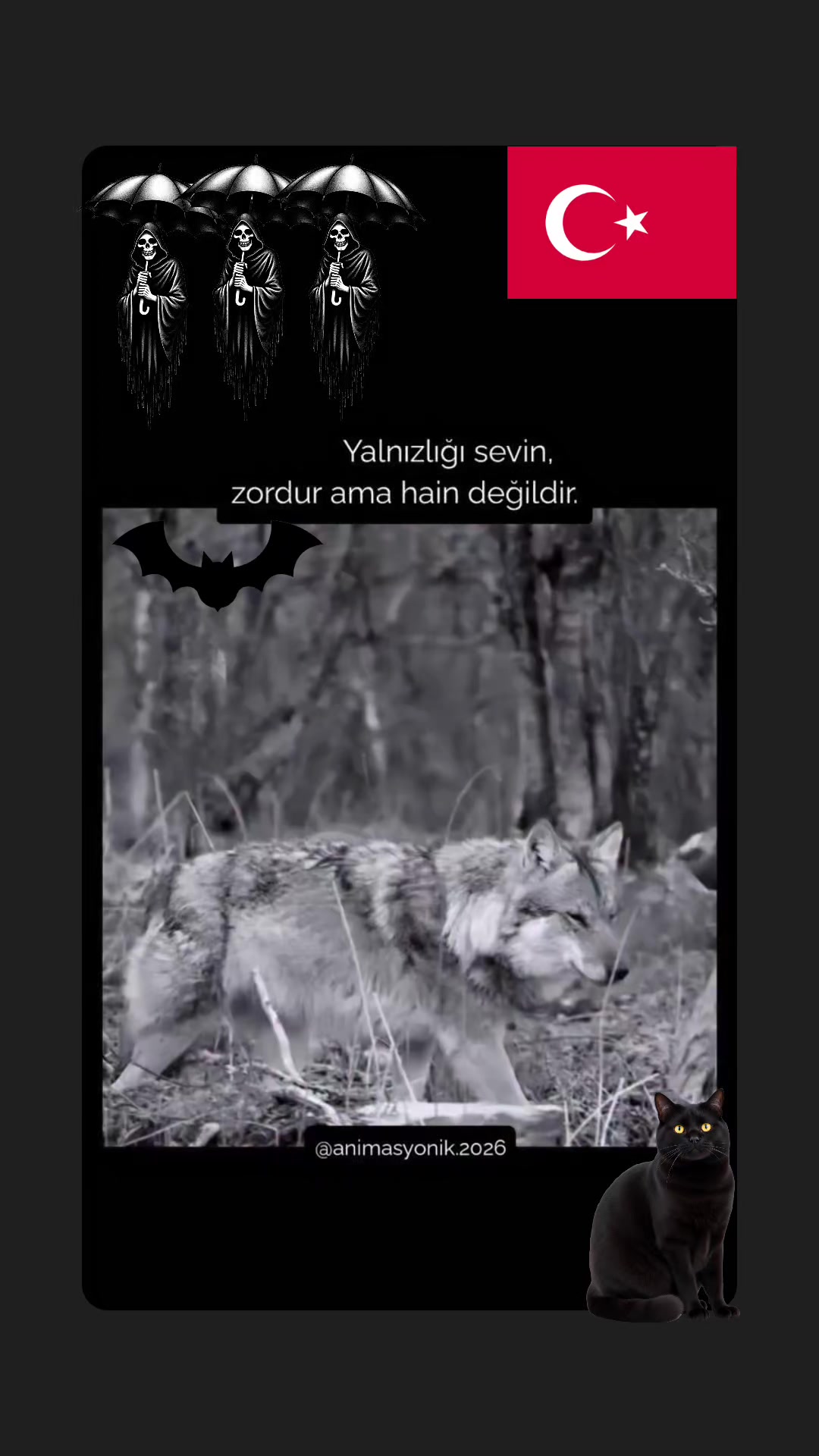@🦅Bir umuttur yaşamak🦅
