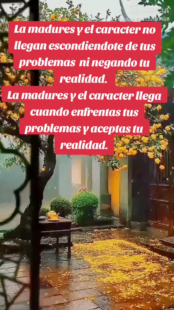 @Tebalopez13