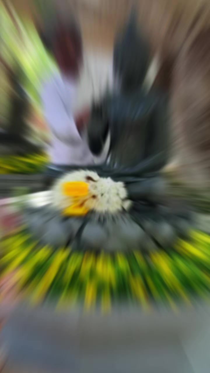 @Kadian