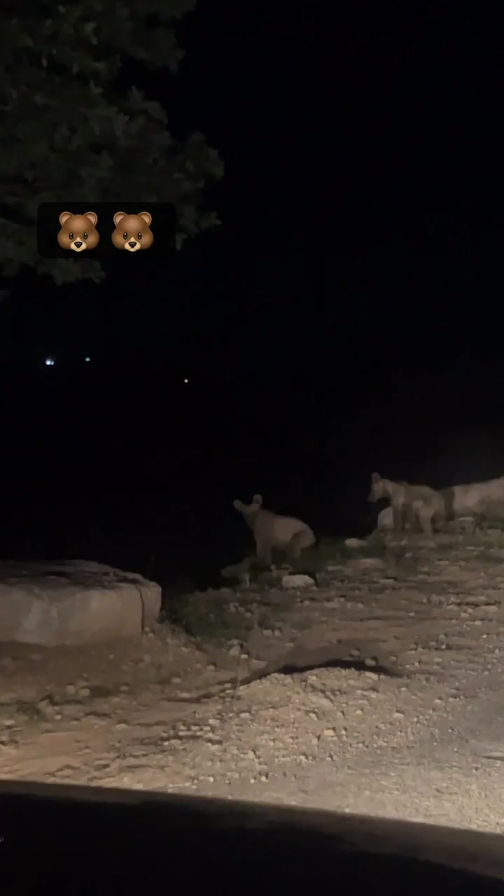 @باقربارزاني🖤