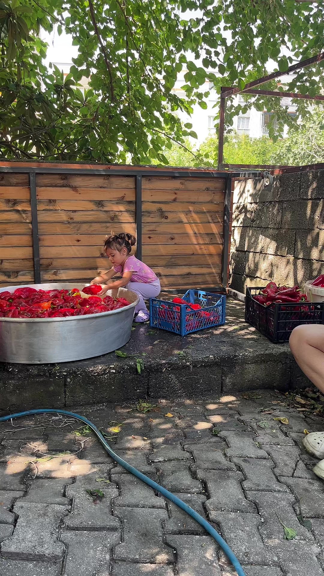 @ENDA GÜLCE