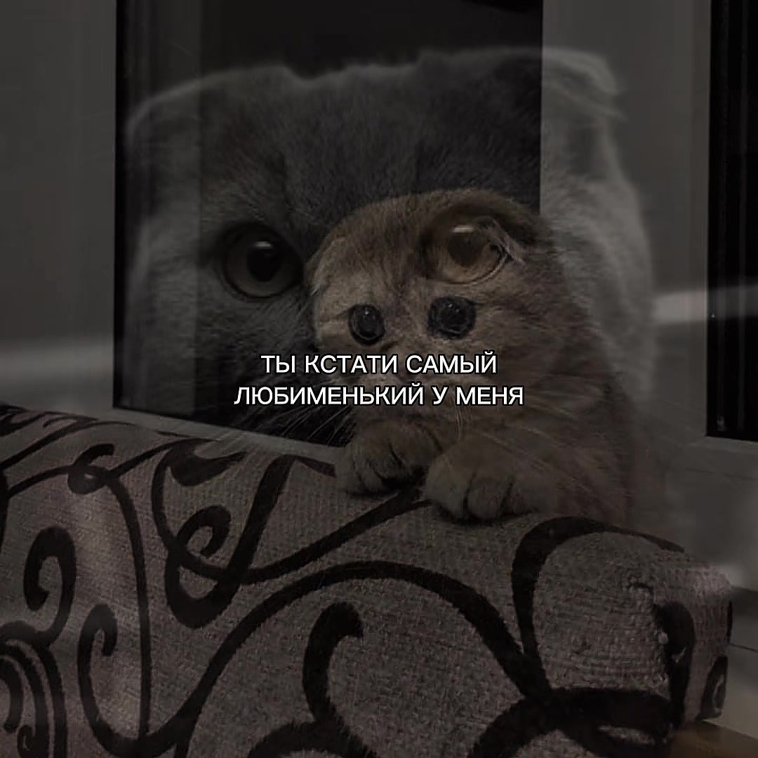 @ХХИКА