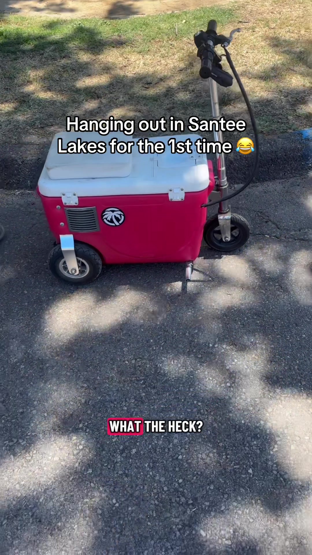@imsssac