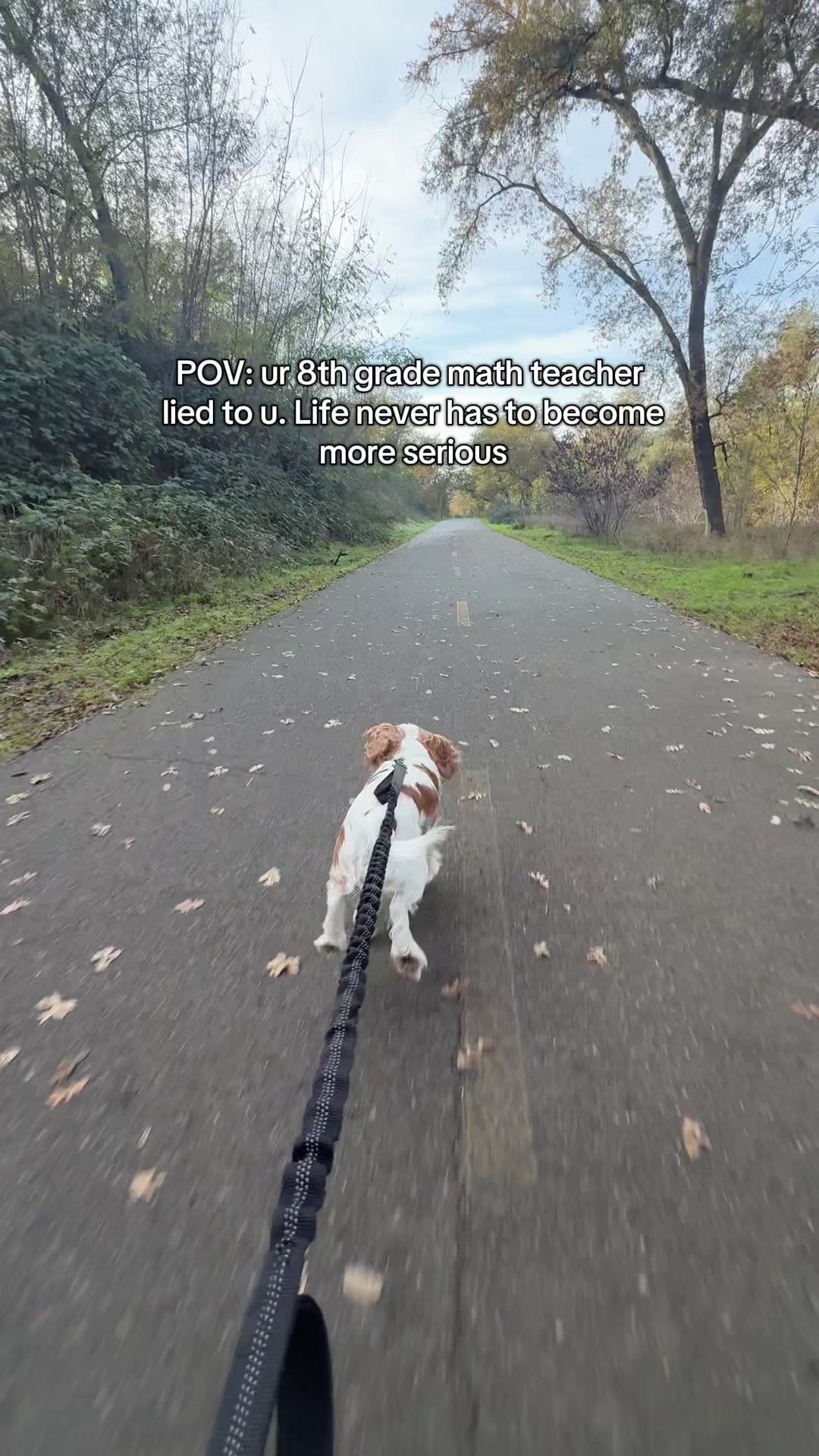 @미사
