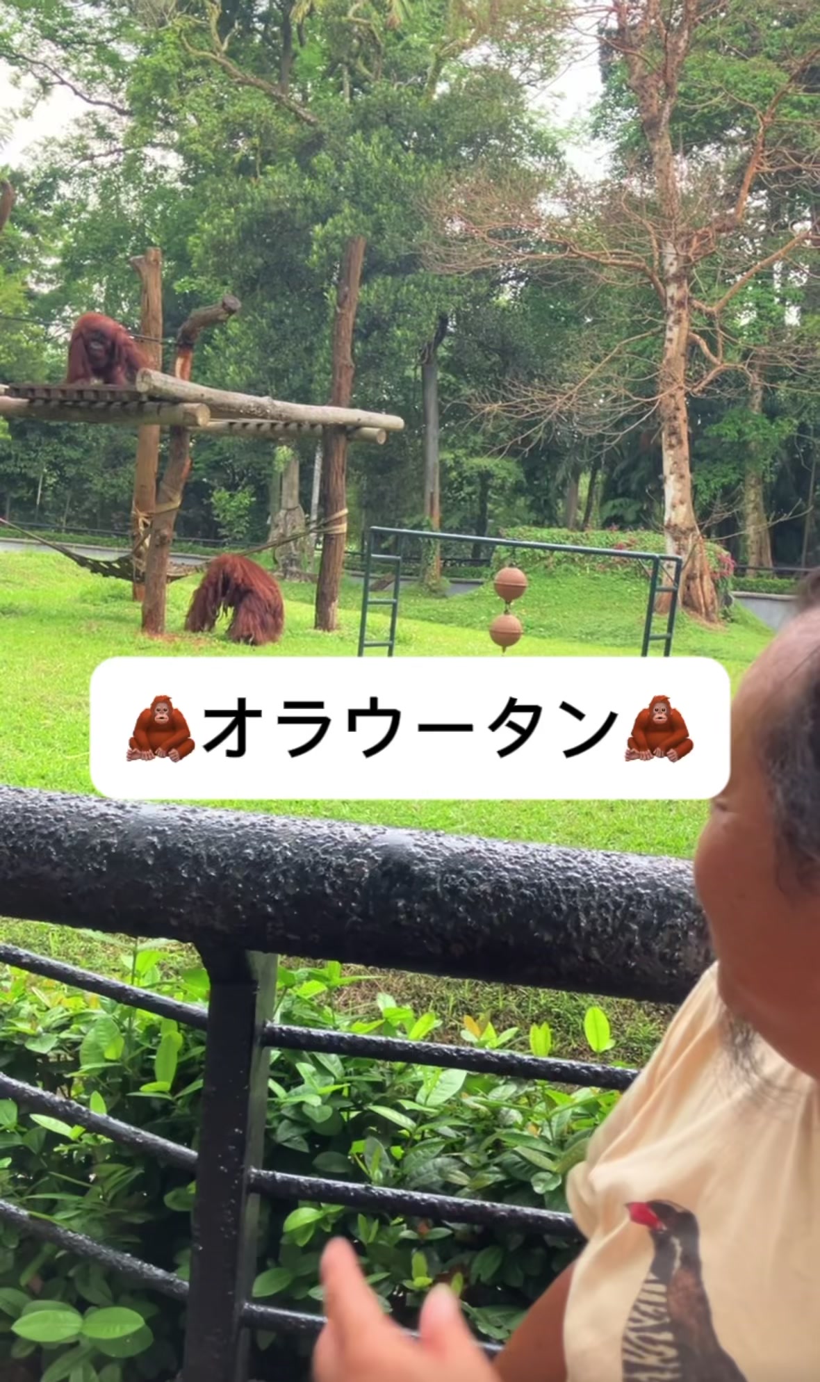 @パンク町田