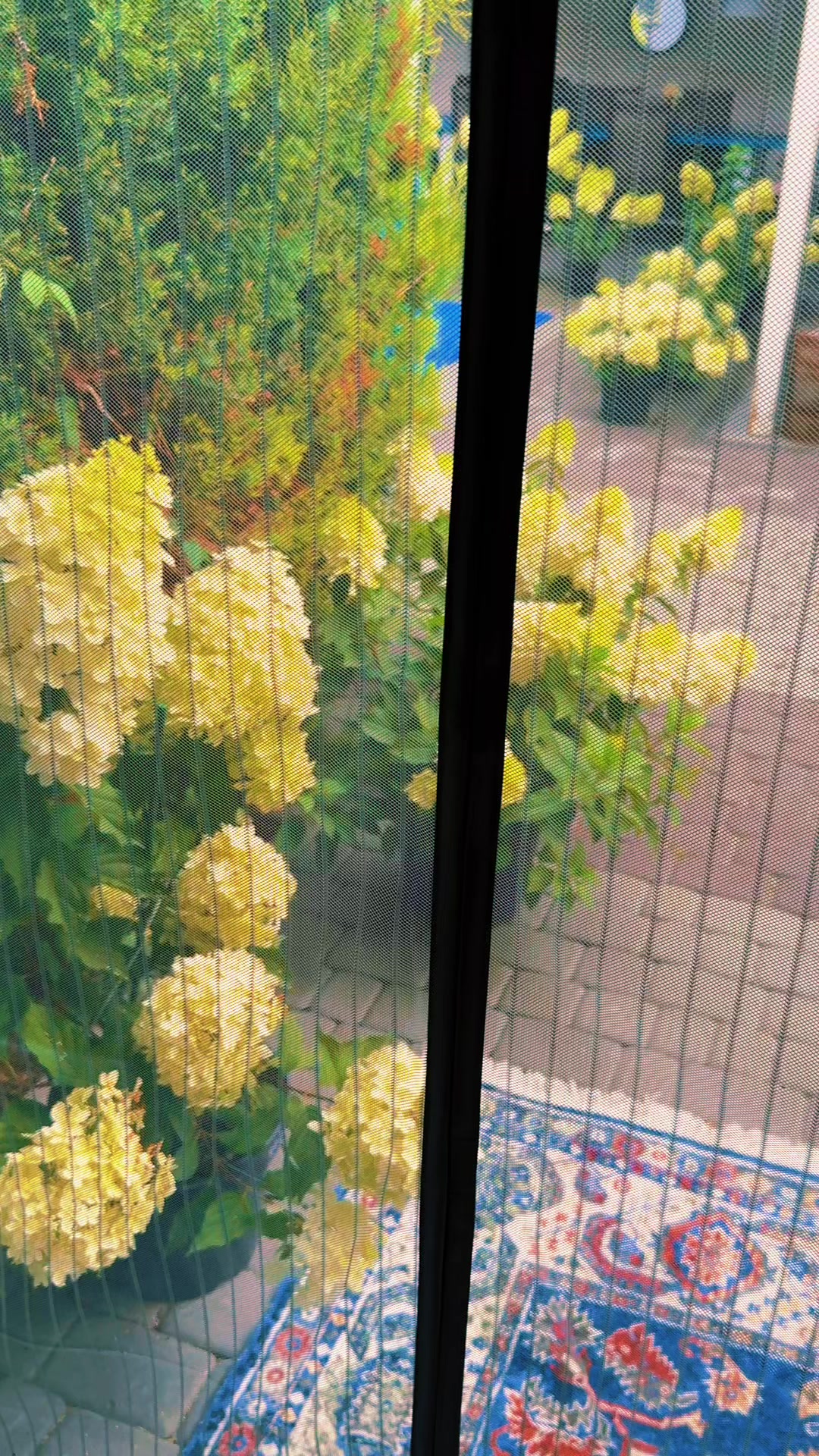 @🍒 𝓘𝓿𝓪𝓷𝓽𝓼𝓸𝓿𝓪 ♡🍒