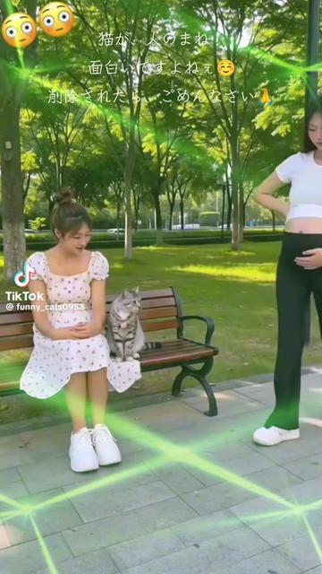 @๐ฆ๐ใฌใณใกใใ๐ฆ๐
