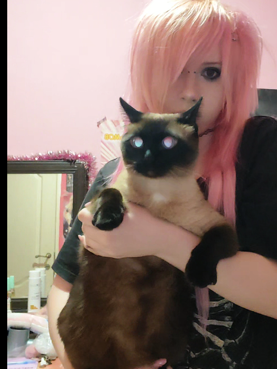@Мария Котёночкина