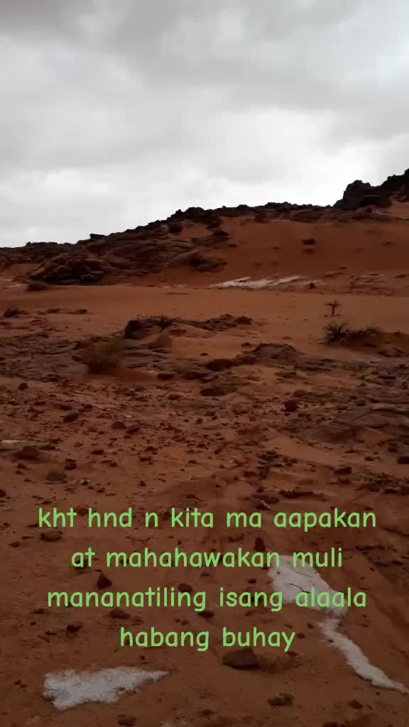 @virgo67