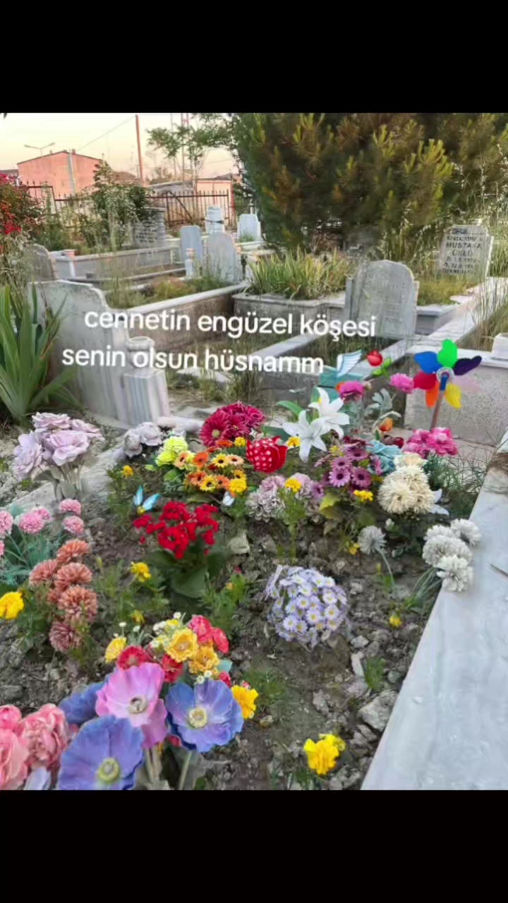 @🪽Aysel 🪽🌙