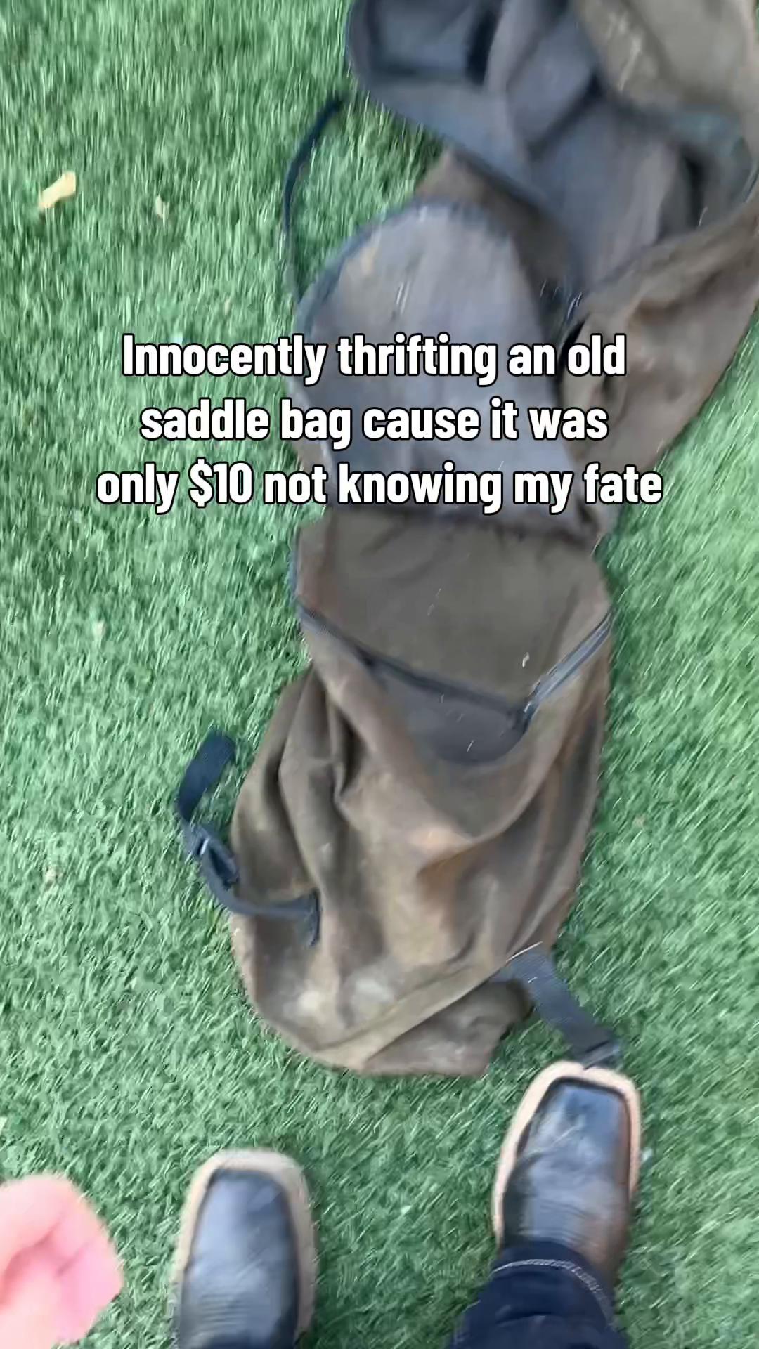@sky 🌵🦇