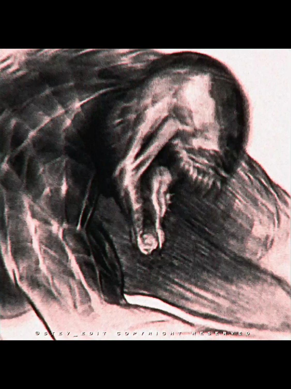 @𝑺𝑻𝑬𝑽_𝑬𝑫𝑰𝑻