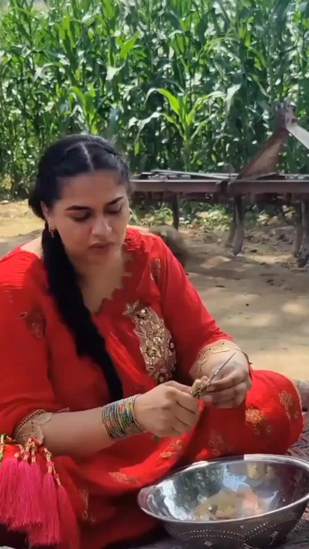 @Aliza Da Punjab