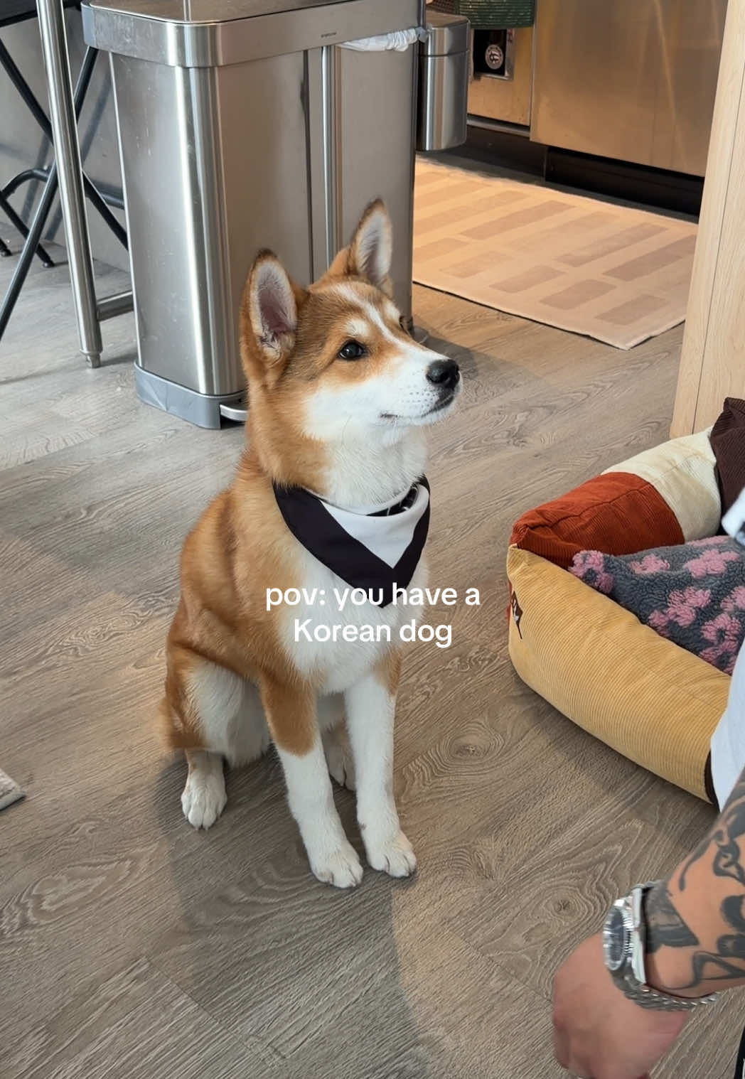 @katiecung