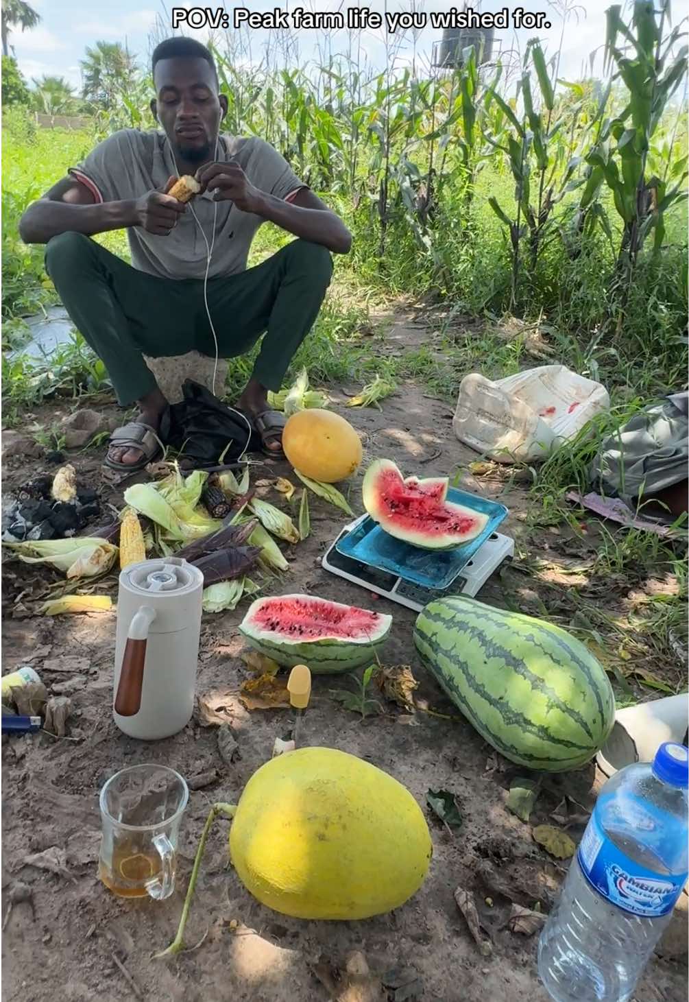 @Janda Farms 🇬🇲