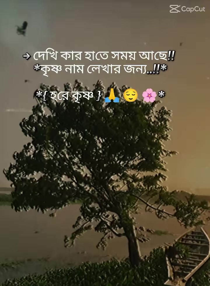@Joyanto Debnath