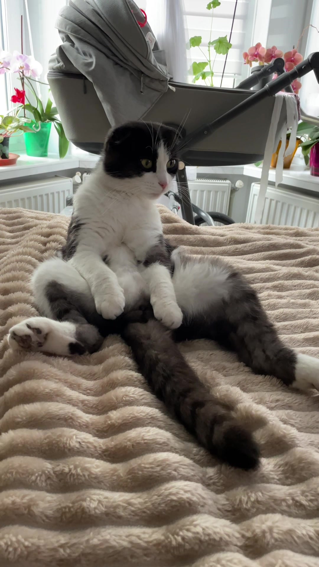 @Софія | Мама на Кето
