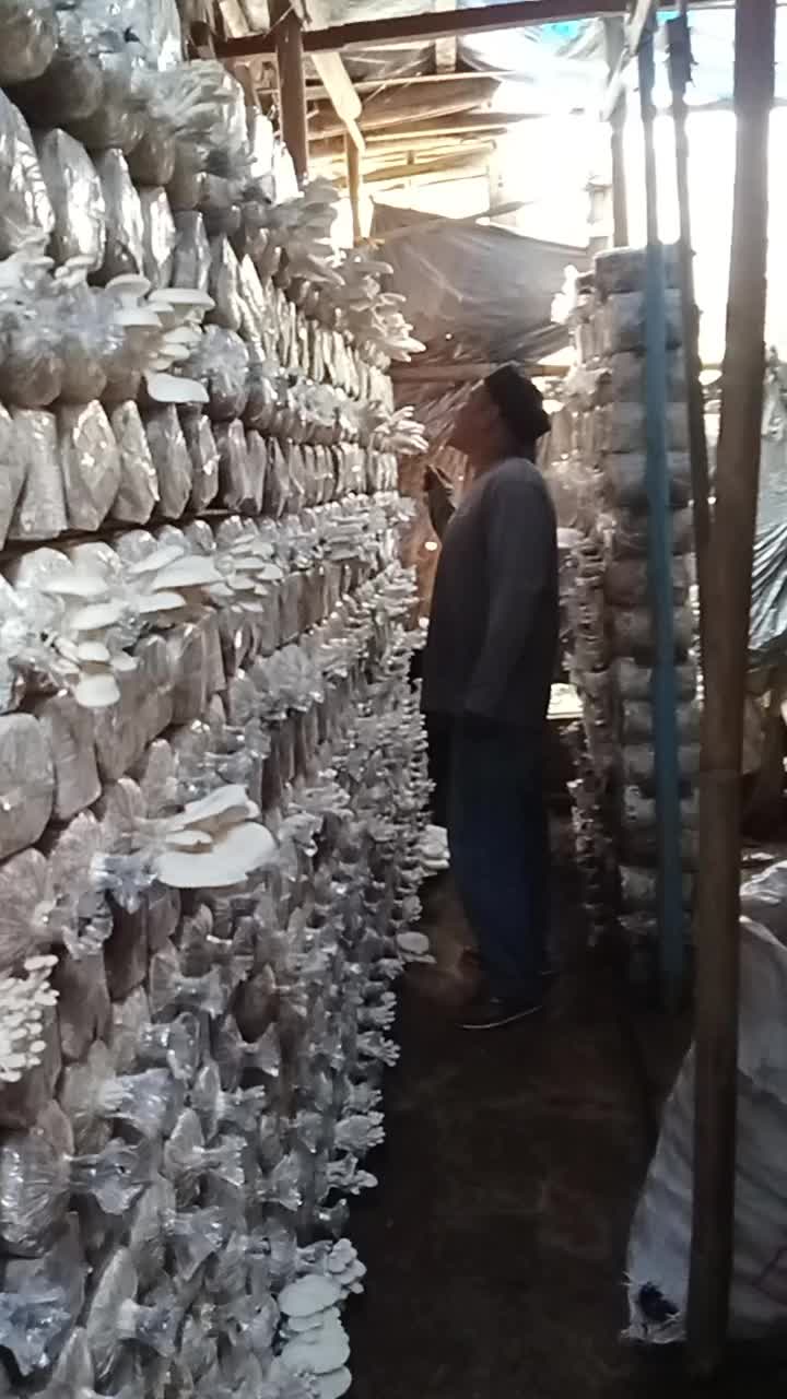 @Jemboot