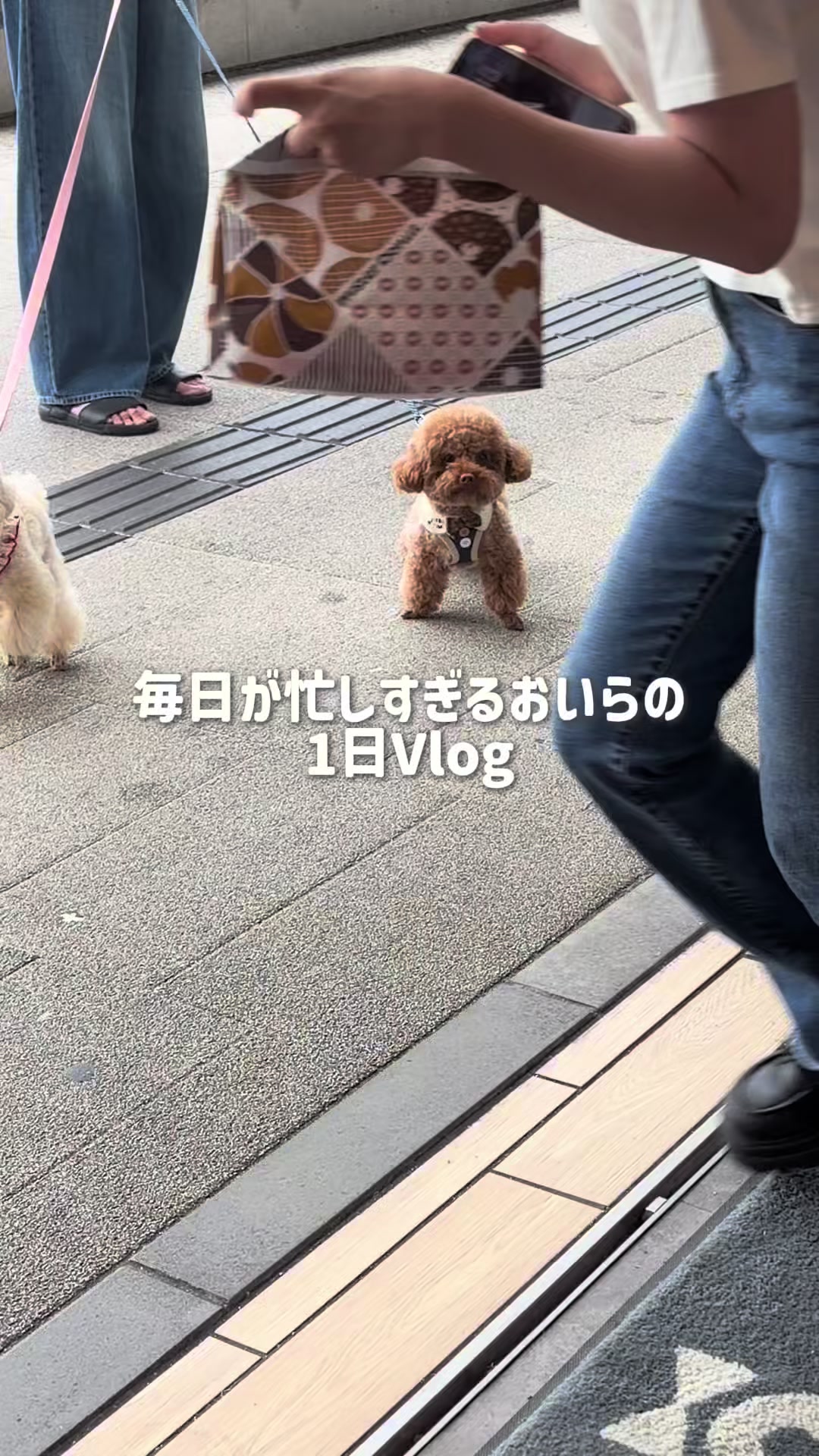 @るるもも