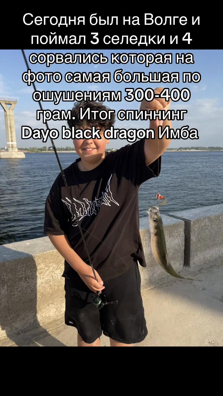 @RevoltR8
