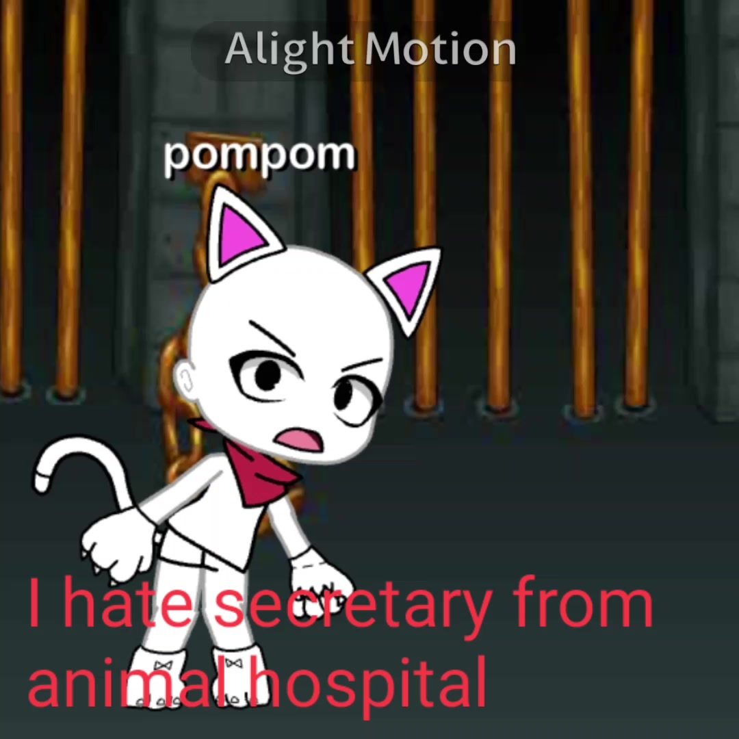 @pompom_cool2