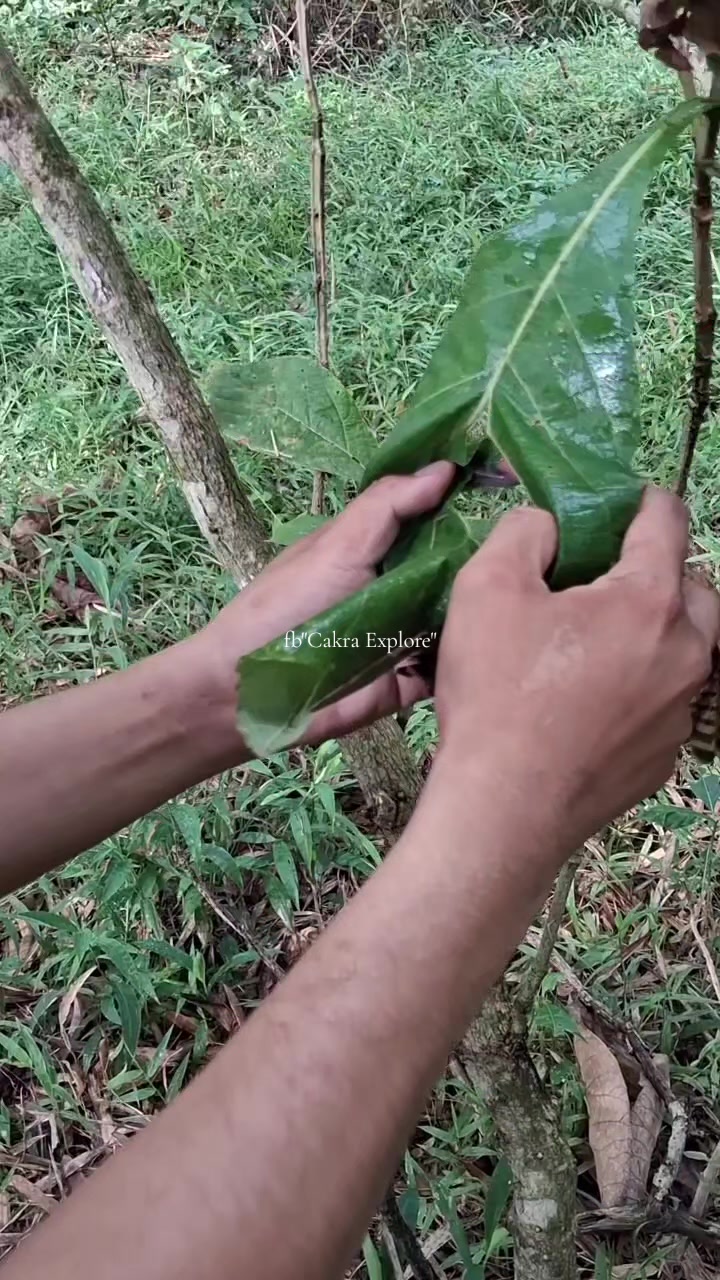 @samudra69