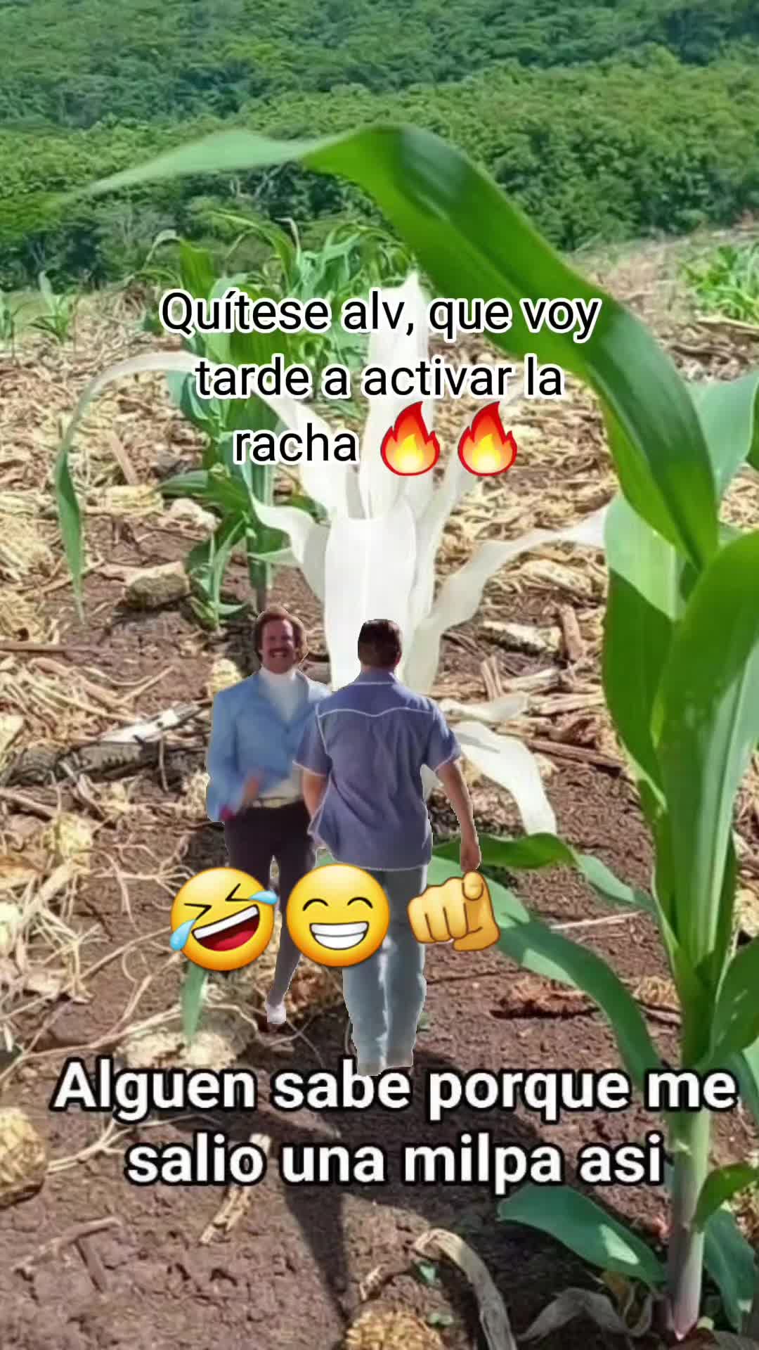 @Gabrielito 502