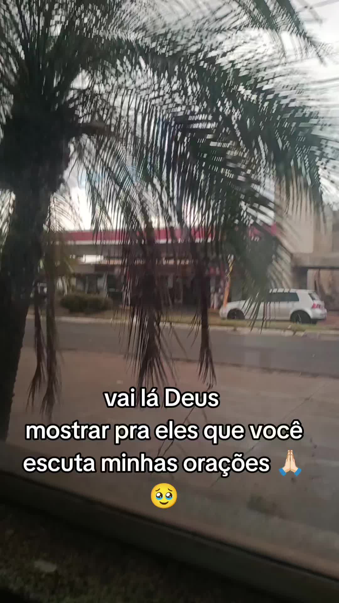 @Vivianne_Gomes_Oficial🌵🦋