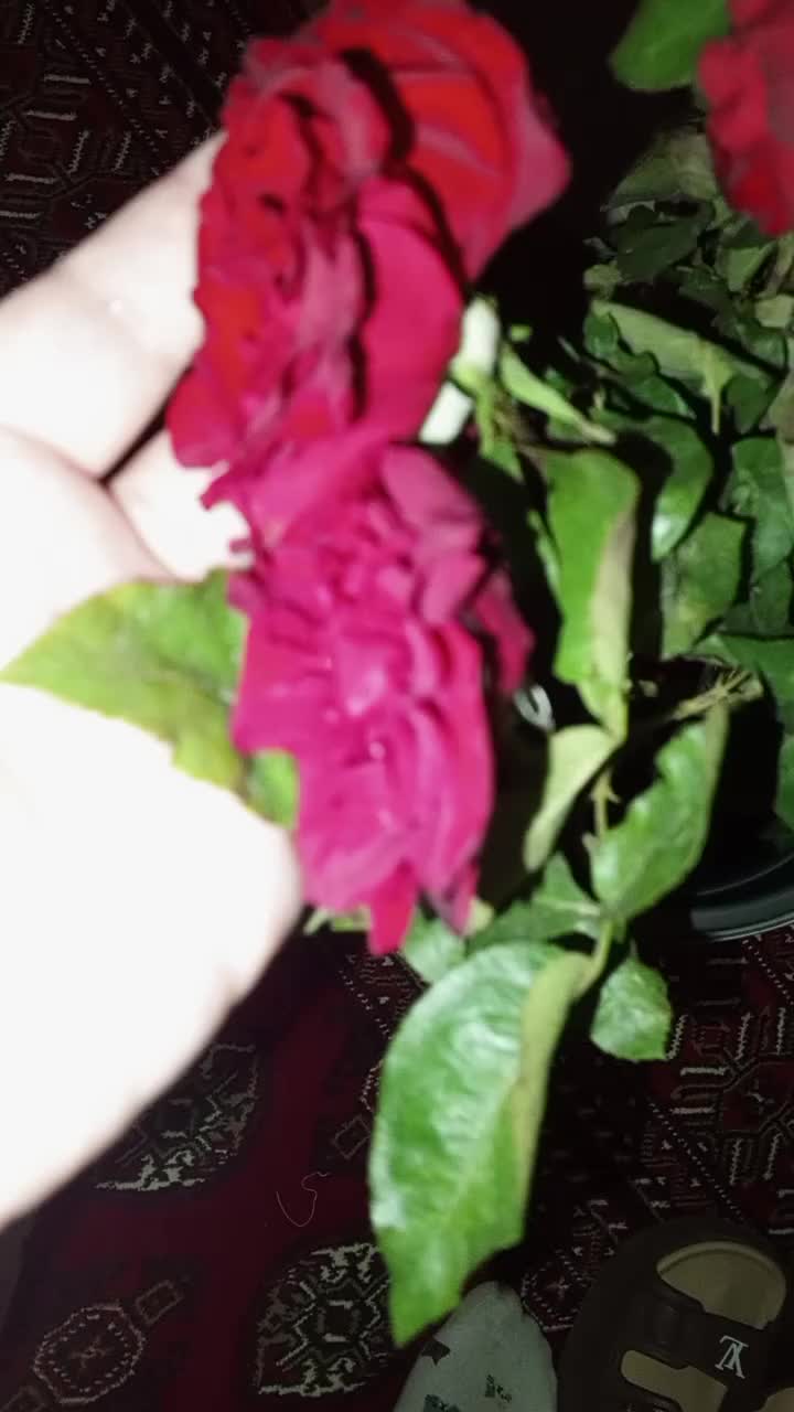 @gri_gõzlũm🩶