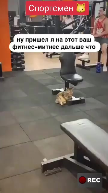 @Лариса