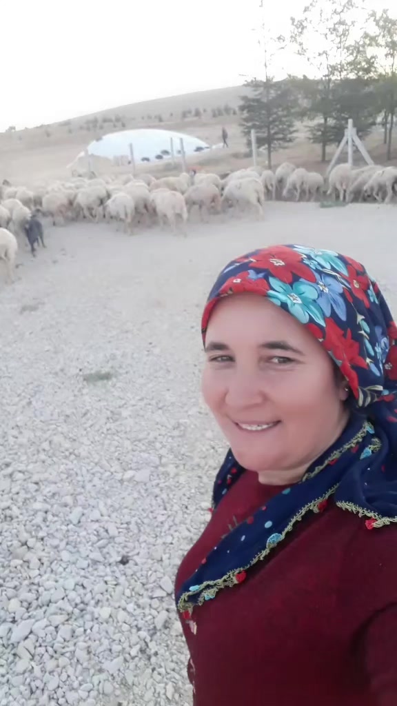 @🐏Y&Ouml;R&Uuml;K KIZI 🐏33.70
