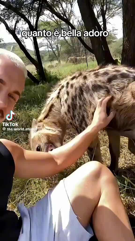 @Ilkarma23