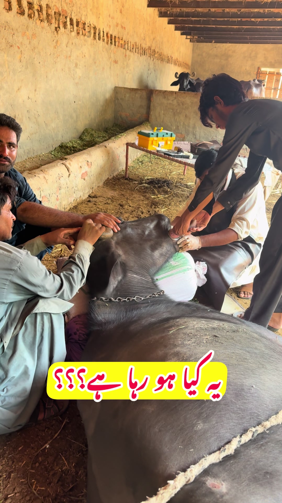 @Dr.Mohsin