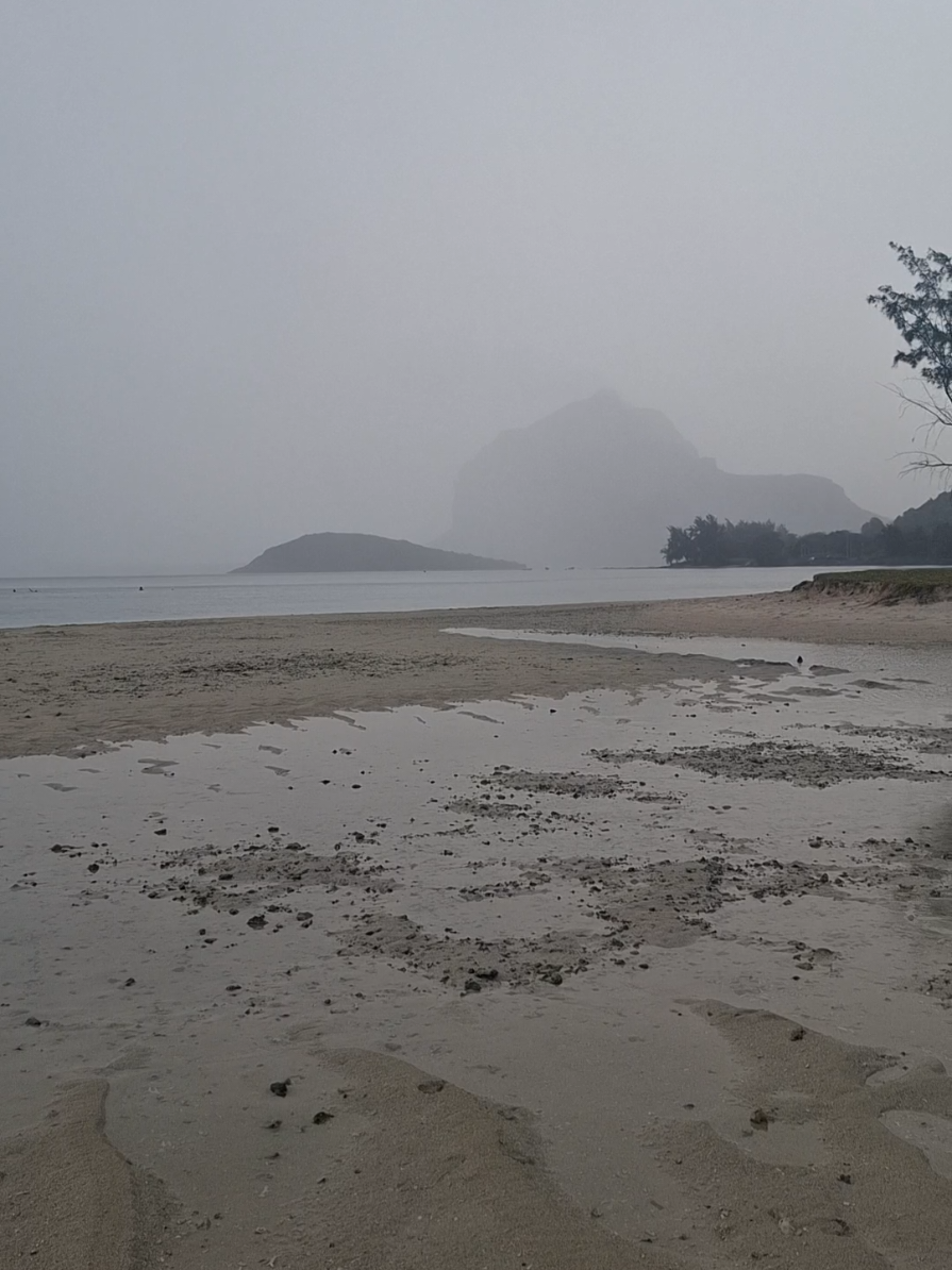 @Musings of an Island Girl